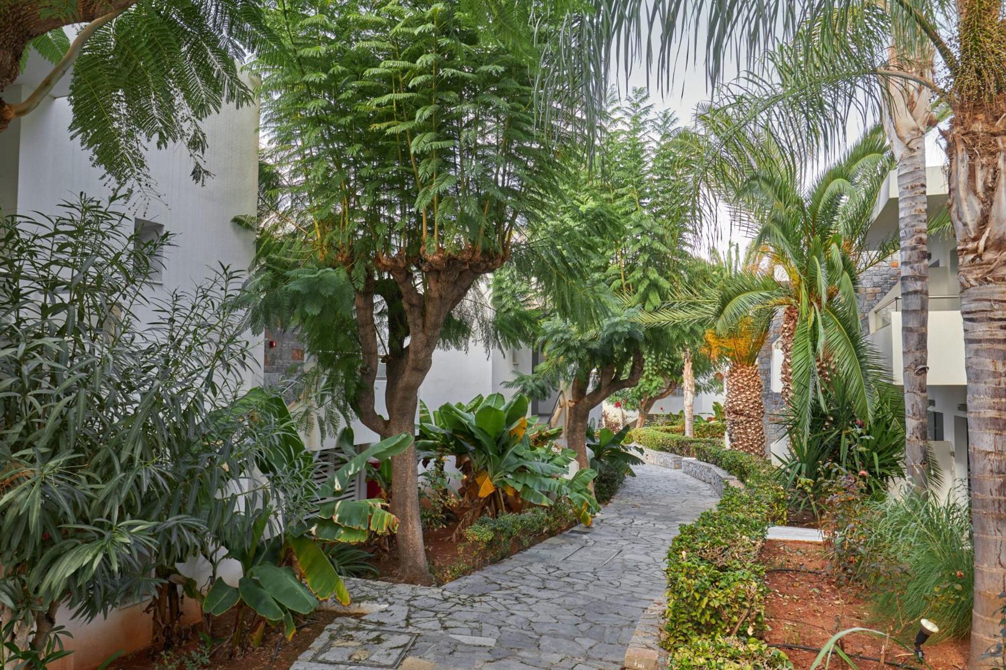 Kyknos Beach Hotel & Bungalows Малиа Экстерьер фото
