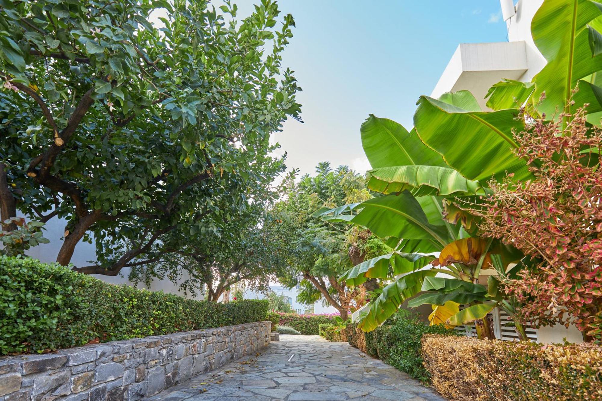 Kyknos Beach Hotel & Bungalows Малиа Экстерьер фото